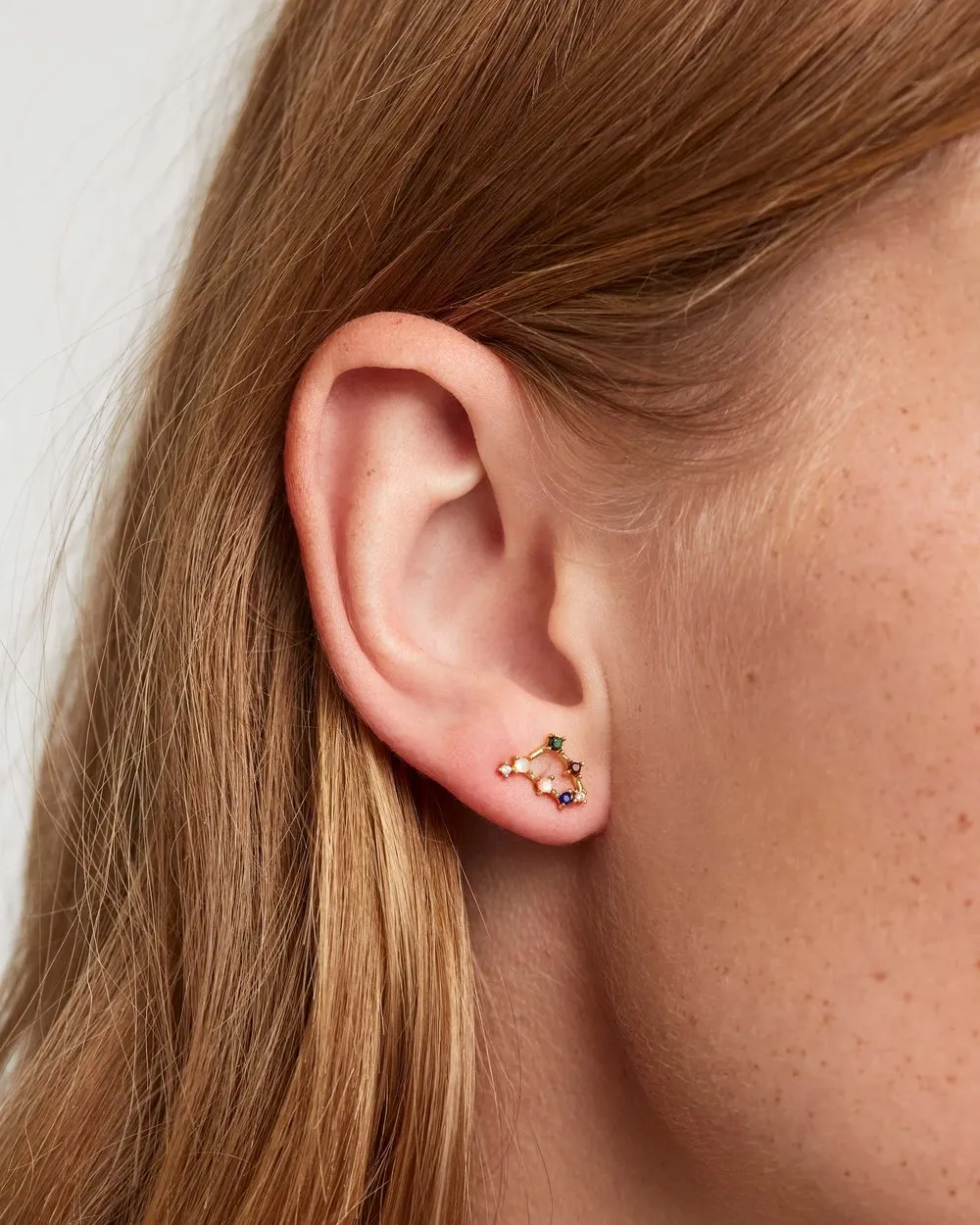 CAPRICORN EARRINGS