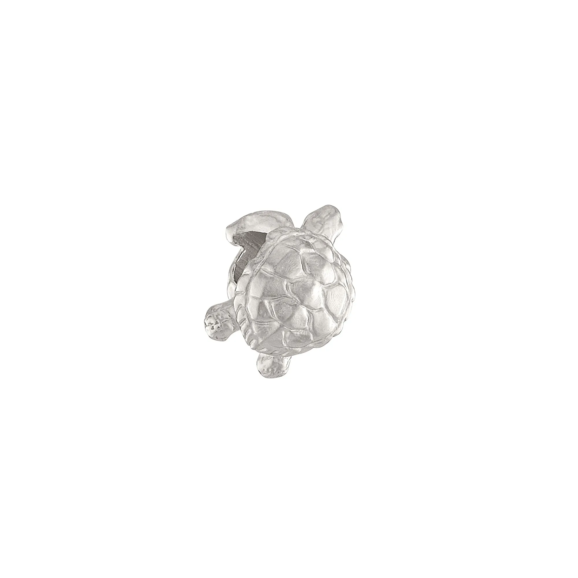 Sea Turtle Charm